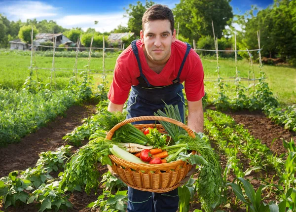 Young farmer holding basket with vegetables — Stock Photo, Image
