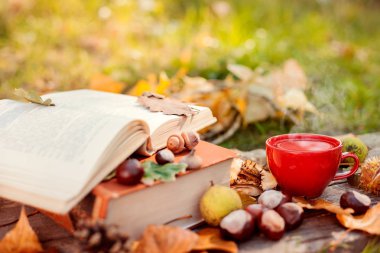 Kitap, sonbahar yaprakları ve çay bardağı