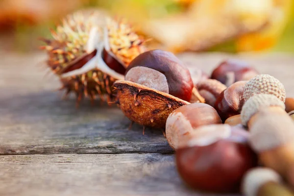 Close-up de castanhas na superfície de madeira — Fotografia de Stock