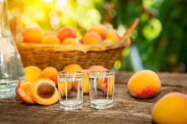 Alkol kayısı brandy içki shot cam