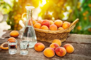 Kayısı kayısı brandy bardak ile