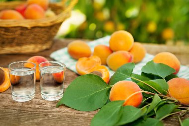 Bardak kayısı brandy alkol içki ile