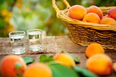 Bardak kayısı brandy ve kayısı