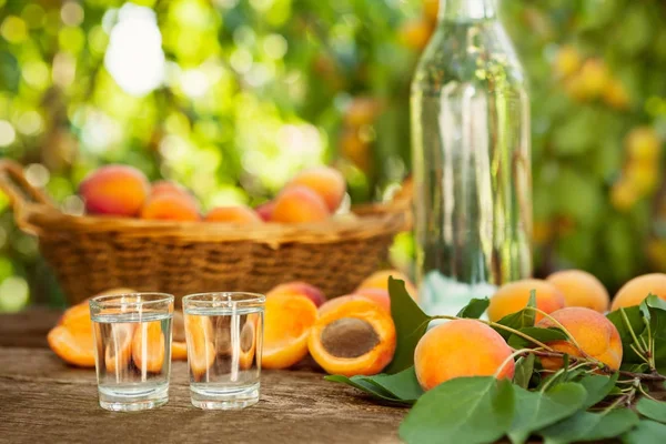 Shot glass with fruit alcohol brandy — Stock Photo, Image