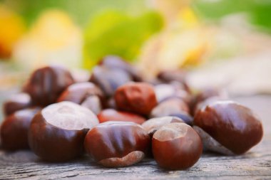 Kestane ahşap yüzeyine yakın çekim