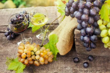 Kırmızı ve beyaz şarap cam