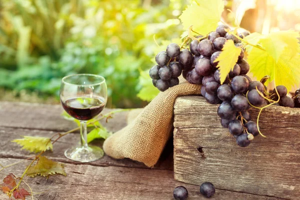 Glas rode wijn en druiven — Stockfoto