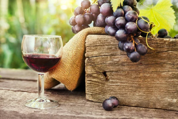 Glas rode wijn geserveerd op tafel — Stockfoto