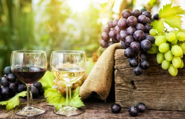 Вкусное красное и белое вино в стакане — стоковое фото
