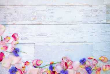 Ahşap zemin üzerine düşmüş yaprakları