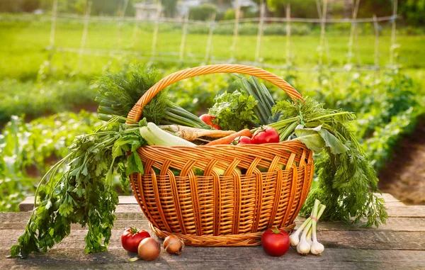 Cesta con verduras en la mesa — Foto de Stock