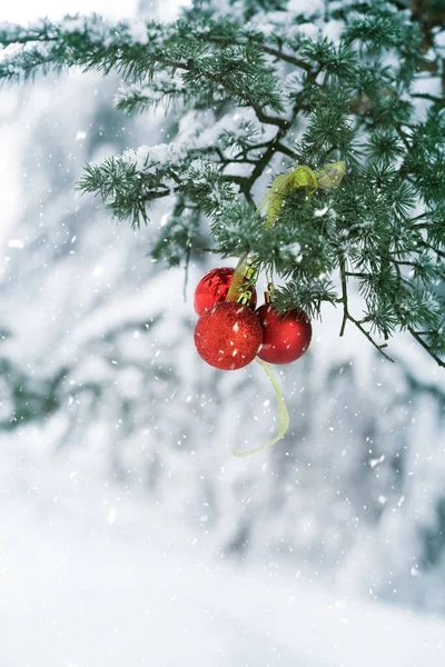 雪に覆われたクリスマスツリー赤いボールの飾り — ストック写真