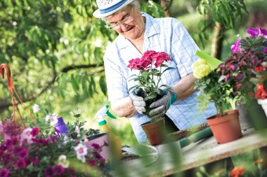 Gardening is her passion 