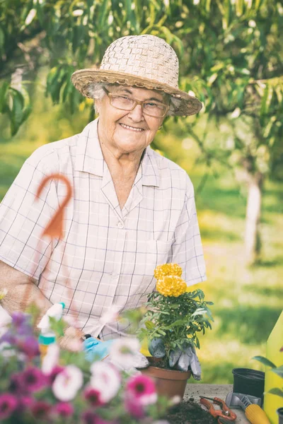 Happy elder woman working in her backyard garden — Zdjęcie stockowe