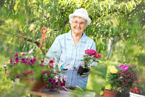 Portrait of cute senior woman gardening — Stock Photo, Image