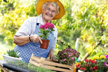 Yaşlı kadın bahçede çiçek topluyor.