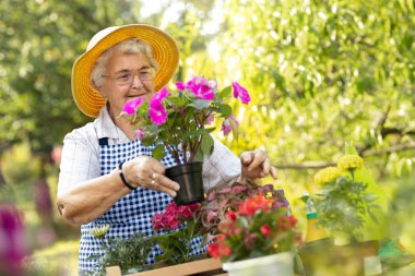 Mutlu büyükanne Bahçe