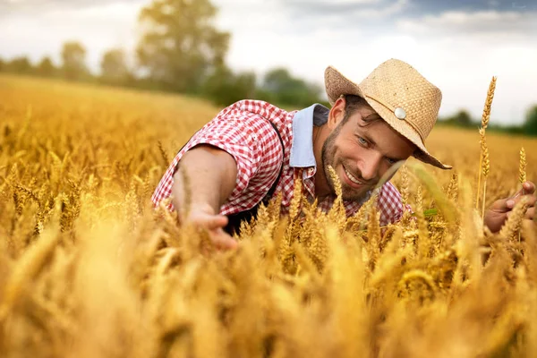 Campesino trabajando en campo de trigo — Foto de Stock