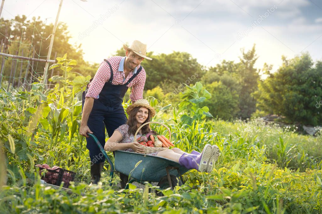 Young farmer ride his tired woman in wheelbarrow at farm 