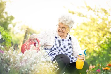 Yaşlı kadın bahçesinde bitkiler sulama
