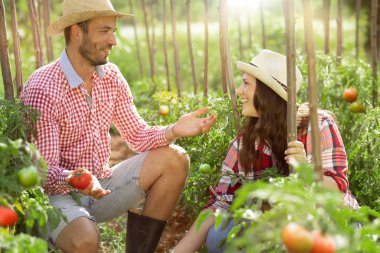 Genç çiftler sebze yetiştiriyor. 