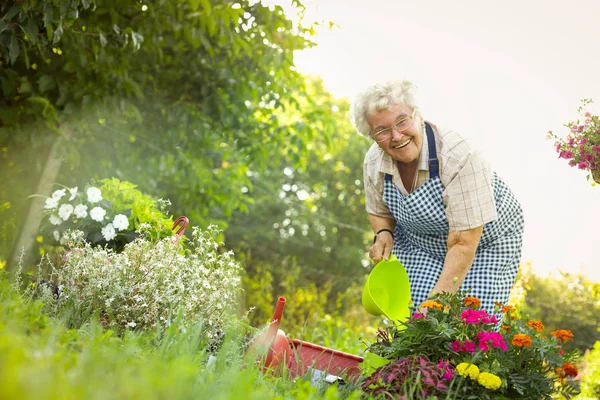Wanita bahagia mengurus bunga-bunganya — Stok Foto
