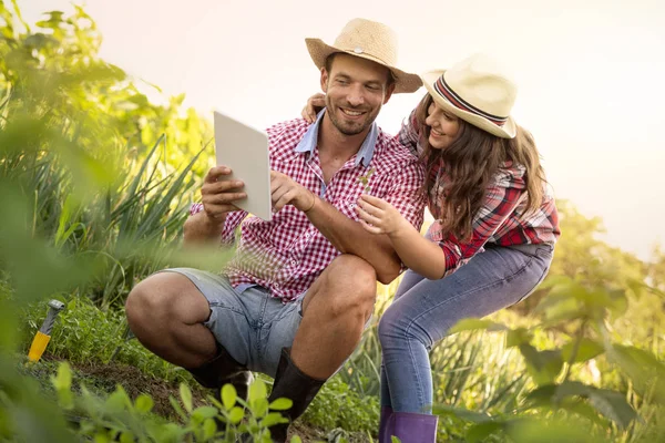 Jovem casal moderno no campo de legumes jovens com tablet pc — Fotografia de Stock