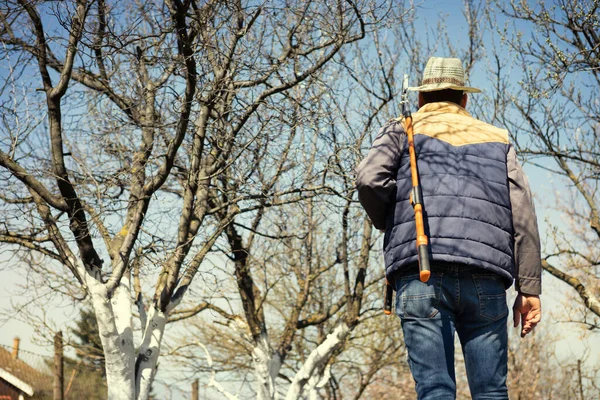 Young Farmer Man Finished Pruning Orchard Back View — Stock Photo, Image