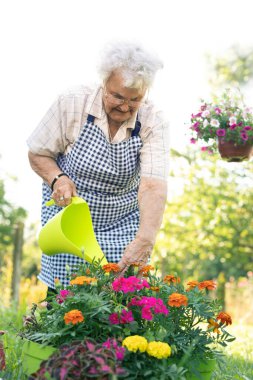 Bahçede çiçekleri sulayan yaşlı kadın.