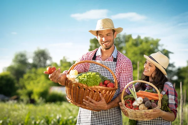 Couple farmers with baskets full of fresh vegetables from farm.  Just look at how bright and fresh these are