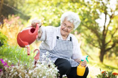Yaz bahçesinde çiçekleri sulayan yaşlı kadın.