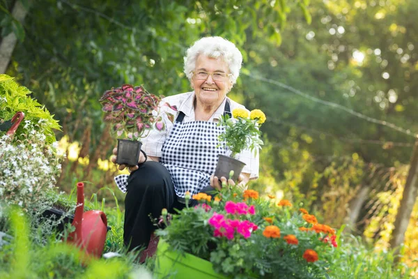 Çağdaş yaşlı kadın portresi güneş ışığında bahçecilik, kopya alanı