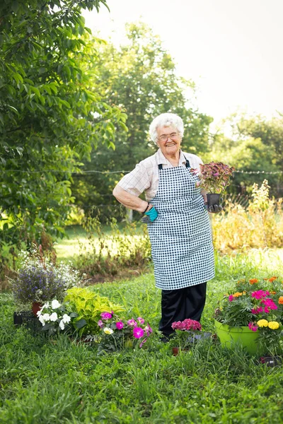Happy woman gardener plant flowers. Woman care and grow flowers in garden. Gardener is happy for results.