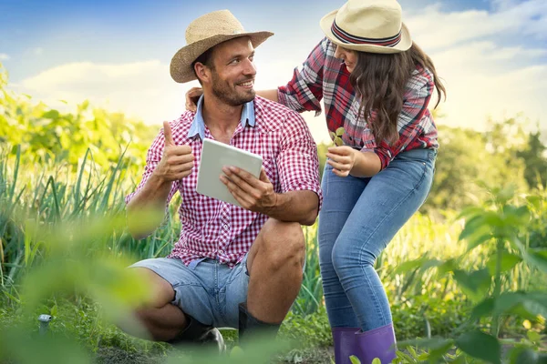 Handsome Jovem Usando Tablet Enquanto Trabalhava Fazenda Familiar Com Sua — Fotografia de Stock