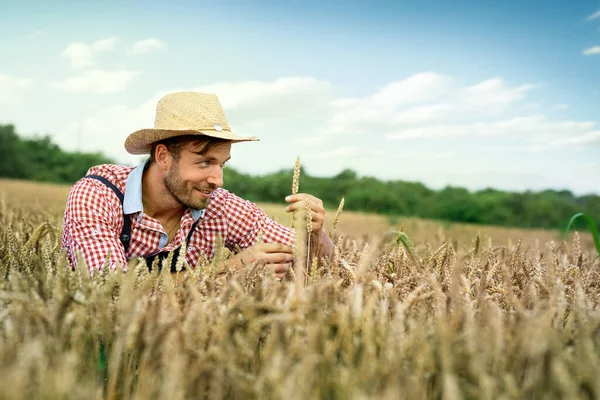 Trabajadores Agrícolas Jóvenes Que Examinan Los Granos Trigo Sonriendo Sosteniendo — Foto de Stock