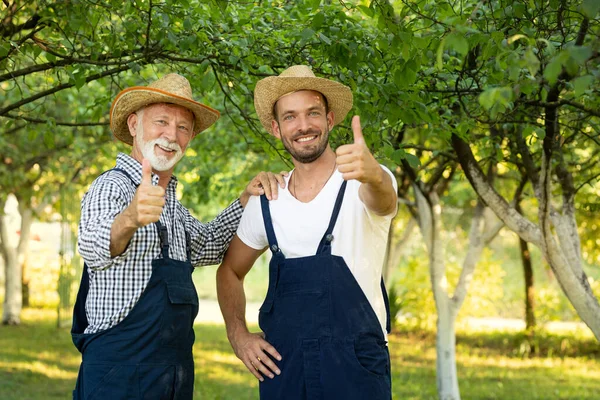 親指を立てて果樹園に立つ2人の農民幸せと成功のビジネス — ストック写真