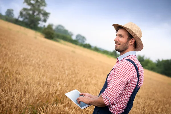年轻农民用数字平板电脑检查麦田状况 穿着衬衫 工作服和草帽 背景太阳光和金色的田野 — 图库照片