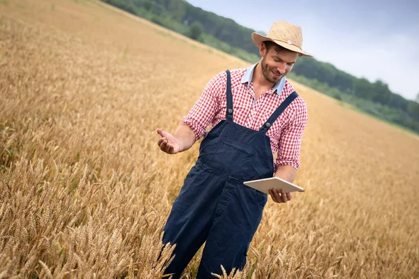 Woman Examining Field Scientist Examining Harvest — Stock Photo, Image