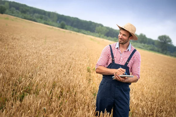 Сельское Хозяйство Сельскохозяйственного Работника Делающего Заметку Пшеничном Поле — стоковое фото