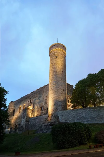 Groß Hermann Pikk Hermann Tallinn Estland Juli 2019 — Stockfoto