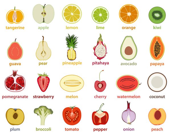 vector collection of isolated fruits cut in half