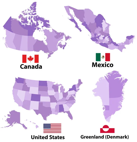Cartes Vectorielles Drapeaux Des Pays Amérique Nord Ayant Des Divisions — Image vectorielle