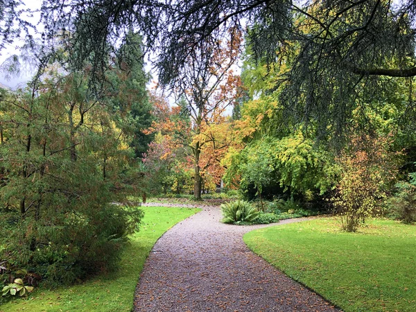 新巴洛克梯田或Neubarocken Terrassengarten Villa Boveri Park或Parkanlage Der Villa Boveri 瑞士阿尔高州巴登 — 图库照片