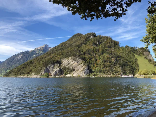 Φυσικό Δασικό Απόθεμα Lopper South Naturwaldreservat Lopper Sud Stanstad Καντόνιο — Φωτογραφία Αρχείου