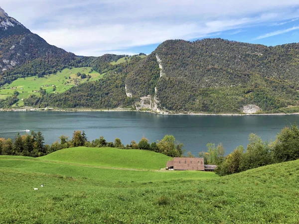 Reserva Natural Stansstaderried Naturschutzgebiet Stansstaderried Stansstad Cantón Nidwalden Suiza —  Fotos de Stock