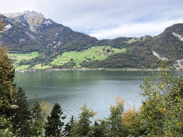 Alpnachersee Lake Stansstad Kanton Nidwalden Kanton Obwalden Nebo Kanton Obwald — Stock fotografie