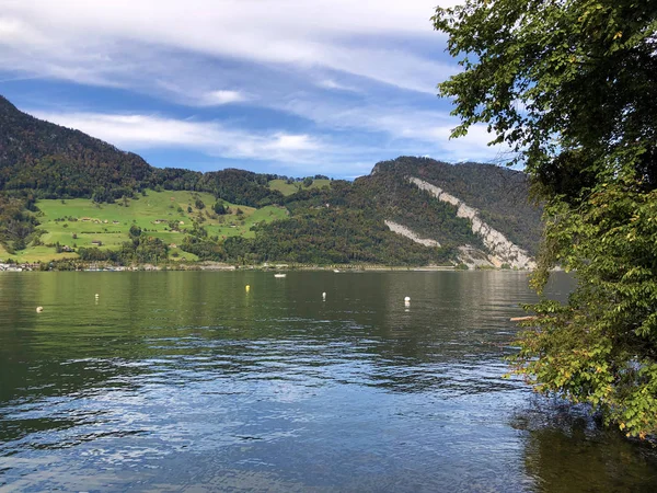 Jezioro Alpnachersee Stansstad Kanton Nidwalden Canton Obwalden Lub Kanton Obwald — Zdjęcie stockowe