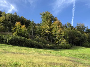 Lucerne Gölü veya Vierwaldstaetersee Gölü (Vierwaldstattersee) ve Alpnachersee Gölü, Alpnach - Obwalden Kantonu, İsviçre