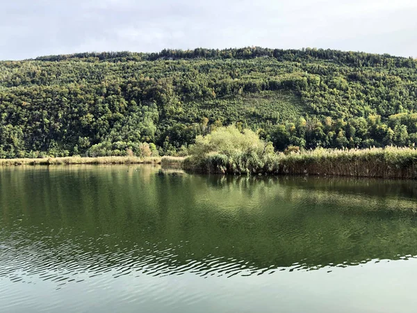 Alpnachersee Stansstad Kanton Nidwalden Kanton Obwalden Oder Kanton Obwald Schweiz — Stockfoto