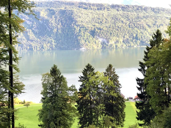 ルツェルン湖またはヴィエルヴァルトシュターテテルゼー湖 Vierwaldstattersee とアルパヘルセ湖 Alpnachersee Lake Alpnach Canton Obwalden Switzerland の木々や混交林 — ストック写真